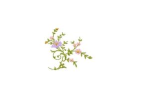 Floral Embroidery Design Review